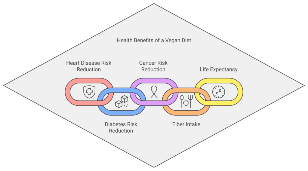 Health Benefits of a Vegan Diet Infographic Infographic showing health benefits of a vegan diet, including heart disease risk reduction, diabetes risk reduction, cancer risk reduction, fiber intake, and increased life expectancy, represented with linked chain icons.